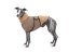 Mocca Cloud Coat – sportovní kabátek pro psy