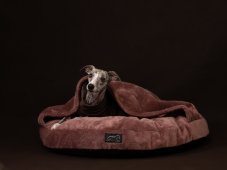 Okrúhly Ortho pelech PET Friendly