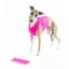 PINK ACTIVE FIT – funkční tréninkové tričko pro psy