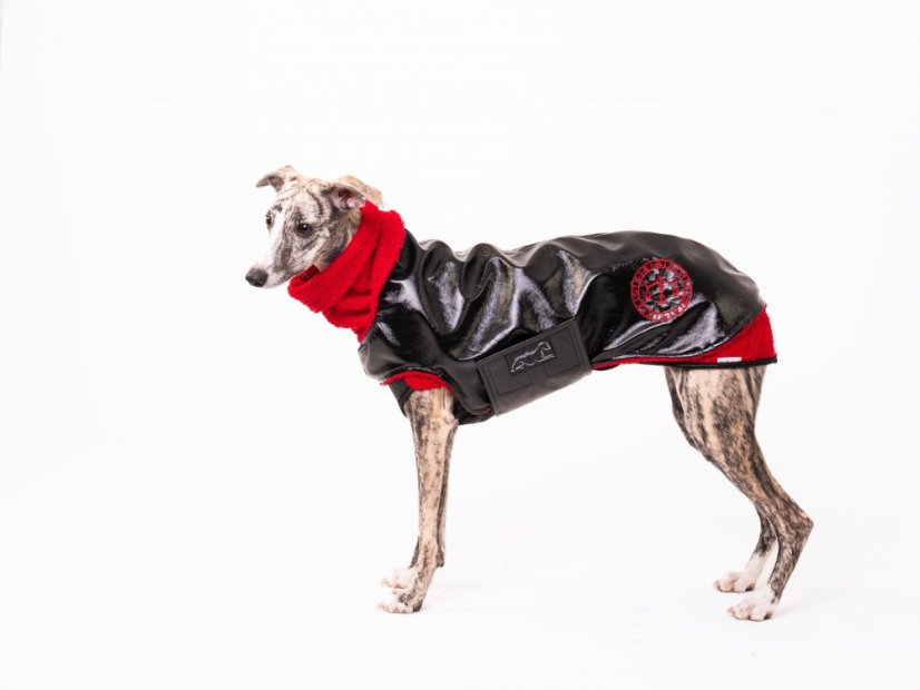 Sportovní bunda ZODIAC