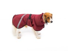 TAIL Comfort Softshell – Funkčná pláštenka pre psov s chvostíkom hore