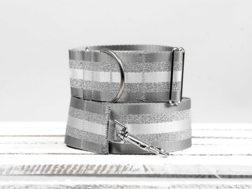 Collar with gold reflective strap