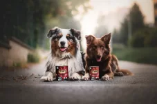 Marp Venison konzerva pro psy se zvěřinou 400g