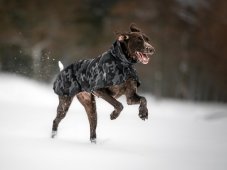 Termobunda – LUMI, veľ. L1