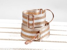 Collar with gold reflective strap