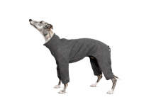 UrbanWarm ZARYA – warm dog jumpsuit made from sweatshirt fabric with fleece lining