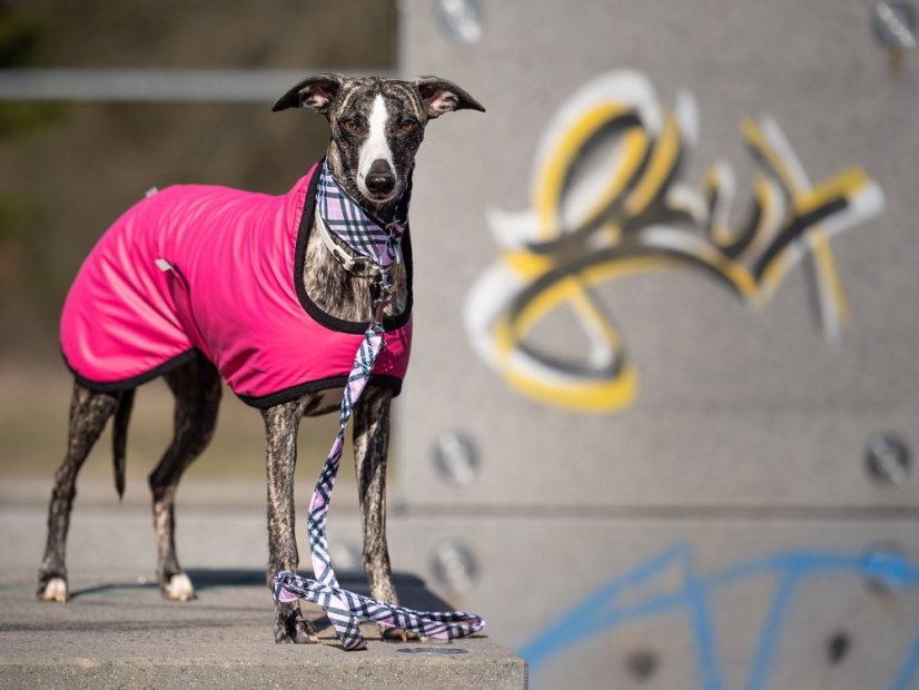 Outdoor Ziya waterproof jacket lined with lamb