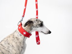SWISS RED leash 1.2 m – precision, strength and style