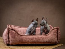 Pelech ROSA hranatý pro psy s ortopedickou výplní