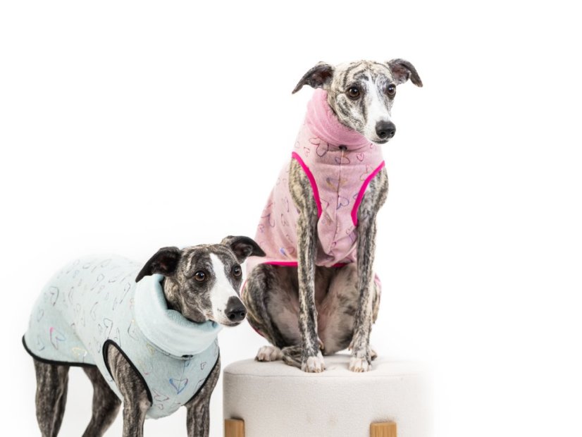 Warmkeeper Love Edition – duhová srdíčka