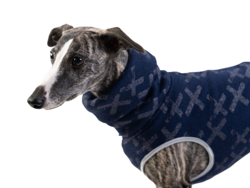Třpytivý svetr pro psa - Blue Sparkle