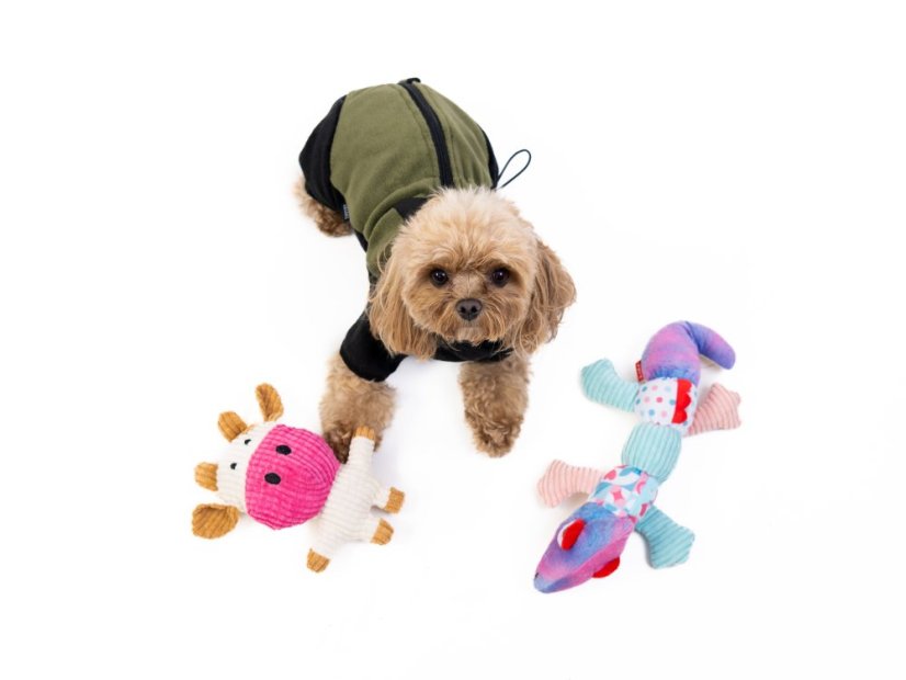 Pískací chameleon 33×15×6 cm – plyšová hračka pro psy