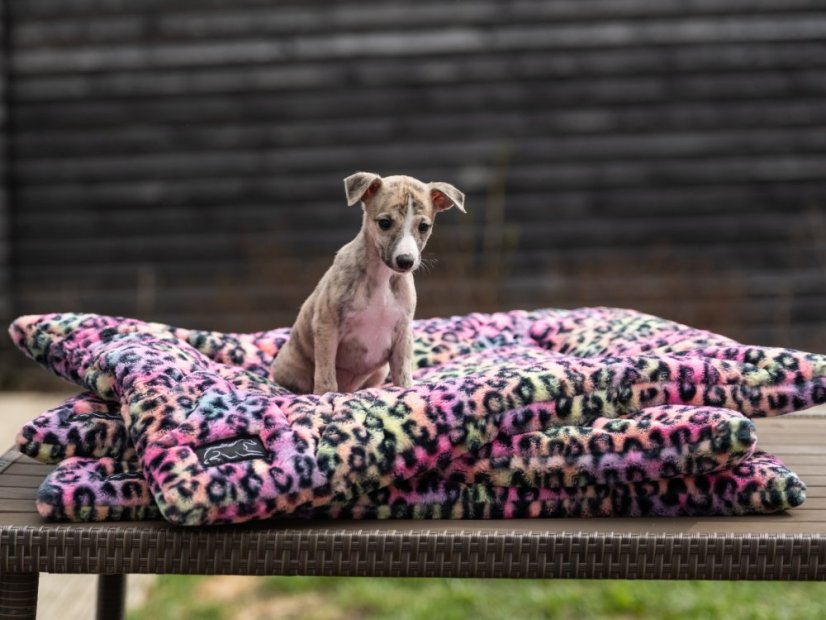 NEON LEOPARD SOFT – plyšová deka pro psy