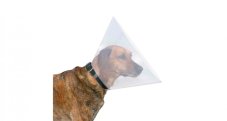Protective collar 28-33 / 12cm (S)