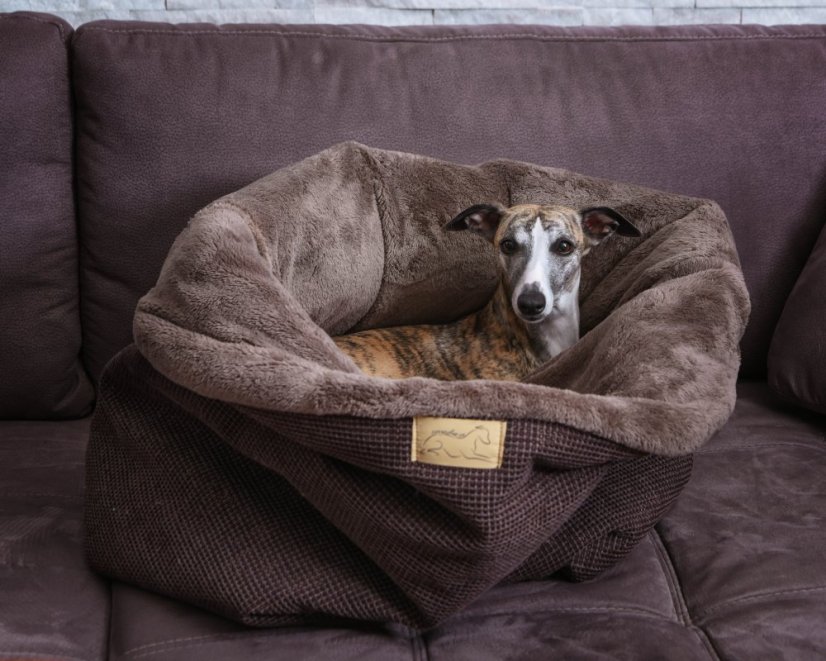COMFORT Snuggle Sack for Dogs