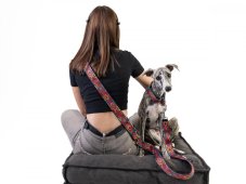 Sada INDY obojok s vodítkom 2m