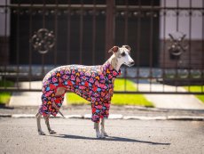 HEART ATTACK SUIT - overal pro psy