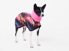 Basenji CODURA LISTY bunda podšitá