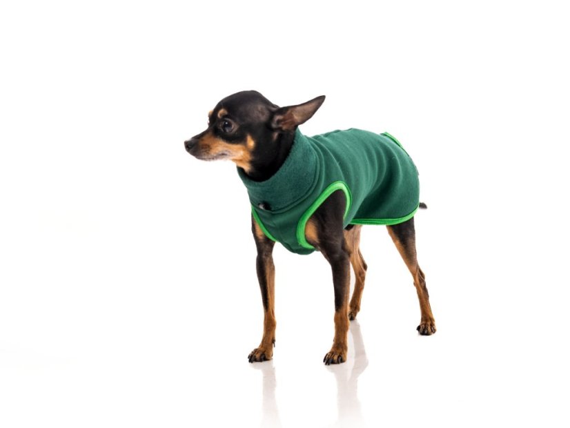 MINI WARMKEEPER HOODIE – hřejivá mikina pro malé psy s ocáskem nahoru