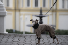 Neoprenový funkční overal pro psy - HNĚDÝ, vel. XS