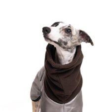 Urban Street Dog Coat