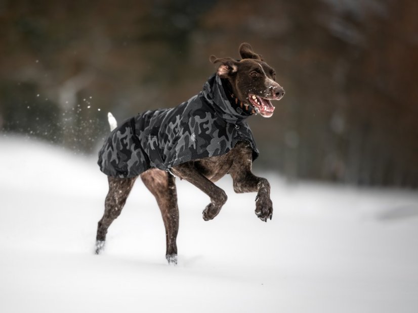 Termobunda - LUMI, vel. L1