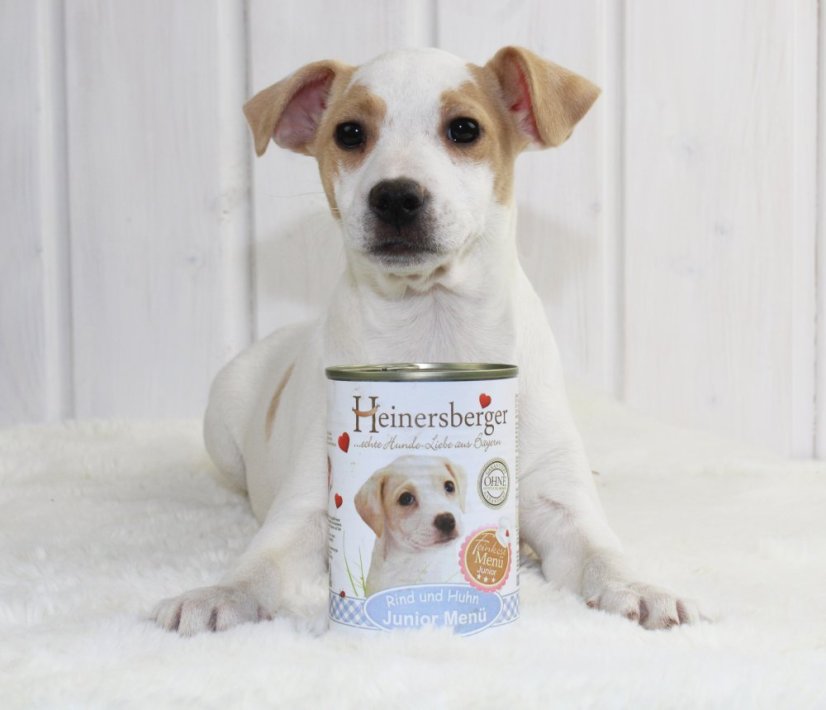 Heinersberger Junior menu masová konzerva 400g