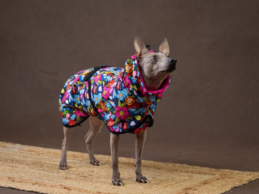 BLOOM NAKED PROTECT – softshell bunda pro psy