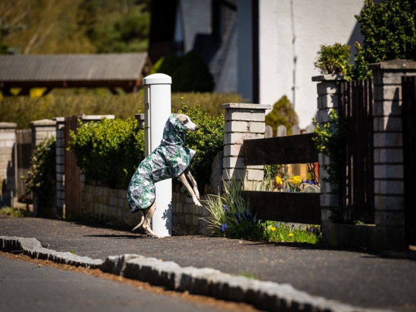 Africa Hibiscus – softshell pláštěnka pro psy