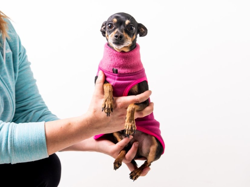 MINI WARMKEEPER HOODIE – hřejivá mikina pro malé psy s ocáskem nahoru