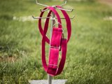 collar pink