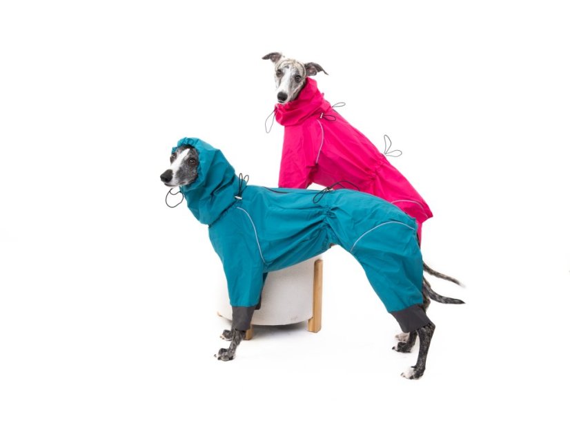 TeryRain Shell – lehoučká nepromokavá pláštěnka pro psy