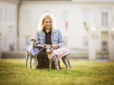 Sportovní mikina z lehké teplákoviny MIKKIMAUS ROSE