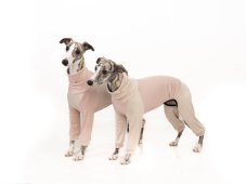 BambooCare Pajama ZARYA – bamboo jumpsuit for dogs for perfect home comfort