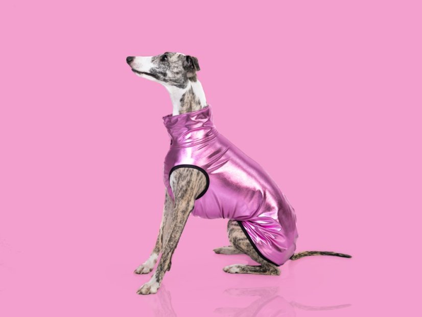 ZARYA PINK GLOW tričko pro psy – limitovaná městská kolekce