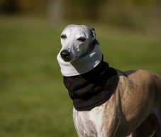 Nákrčník pro psy s fleecem