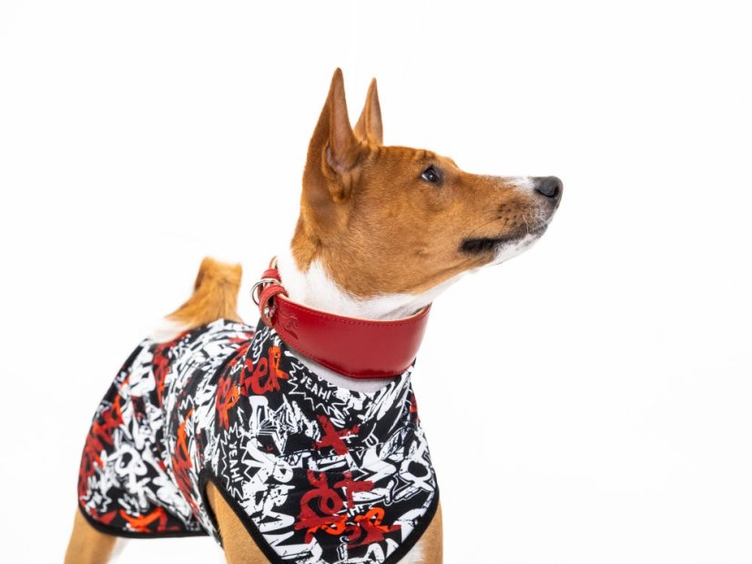 Rebel Style mikina pro psy s ocáskem nahoru