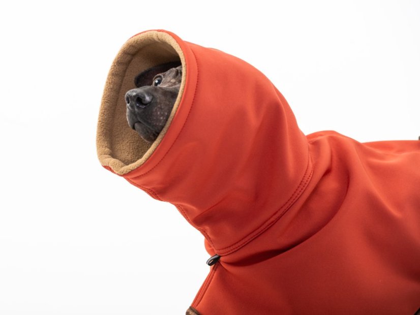 Arctic Tail Shell – zimní bunda pro psy s ocáskem nahoru