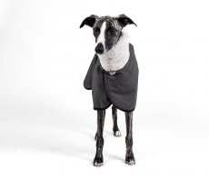 MOET Softshell bunda s beránkem