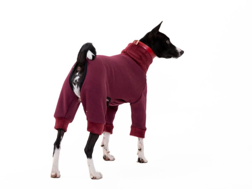 Basenji  warmkeeper OVERAL