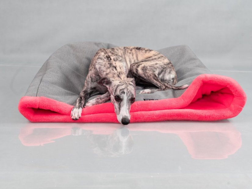 COMFORT Tulivak pro psy Paws