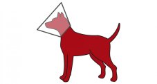 Protective collar 28-33 / 12cm (S)