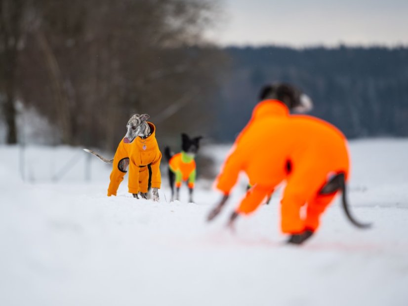 ZARYA ThermoFlex | sportovní funkční overal pro psy