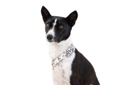 Semi- collar made of Biothane heart - 4 cm