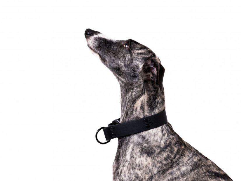 Minimalistický polostahovací obojek z hexa pásku ČERNÁ 30mm