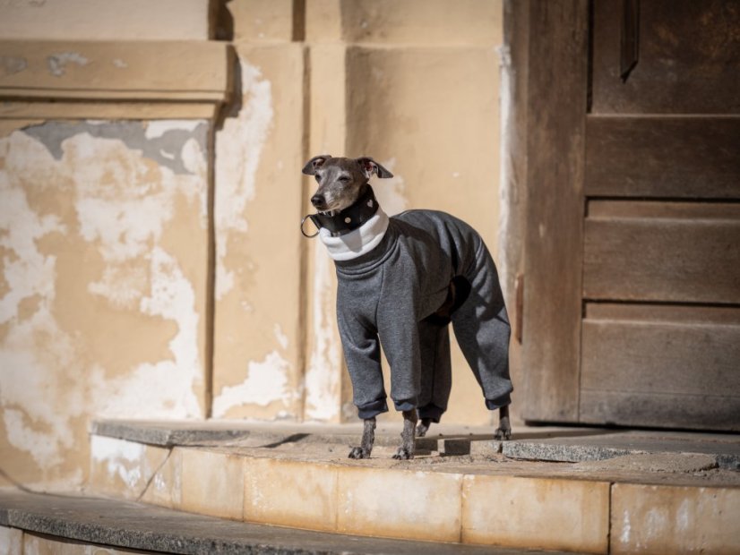 UrbanWarm ZARYA – zateplený overal pro psy z teplákoviny s kožíškem