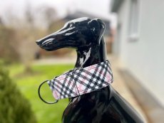 Obojek polostahovací KARO 5cm