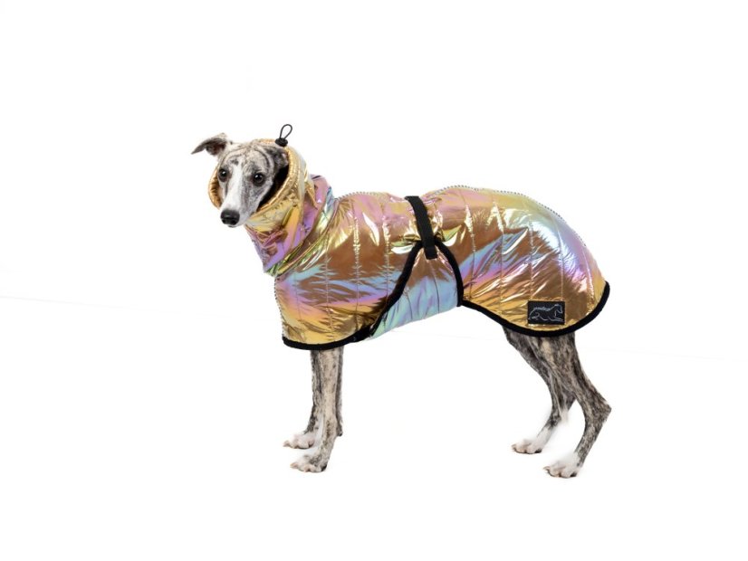 THERMOCOAT CHROMA – zimní bunda pro psa