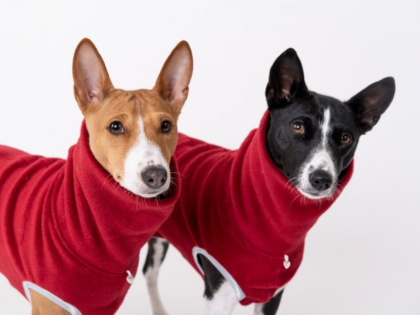 TAIL-UP Warmkeeper Shirt – hřejivá mikina pro psy s ocáskem nahoru