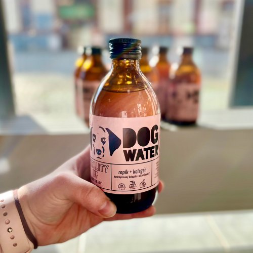 Dog&Water Sirup Vitality Up Klouby, imunita 300 ml